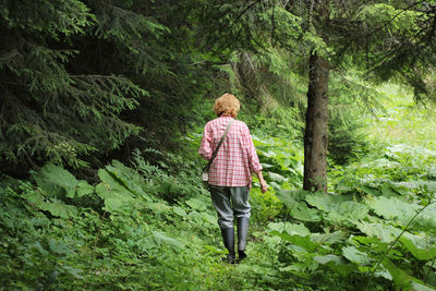 Rear view of man walking in forest