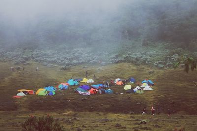 High angle view of people camping on land in forest