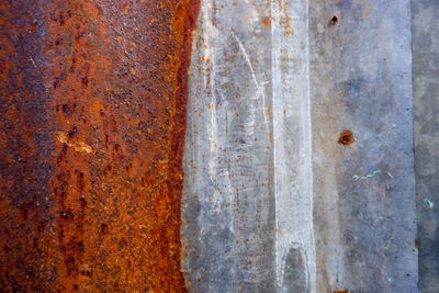 Close-up of insect on rusty metal