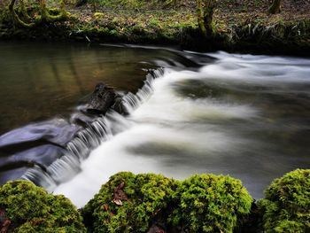 Scenic view of waterfall in forest