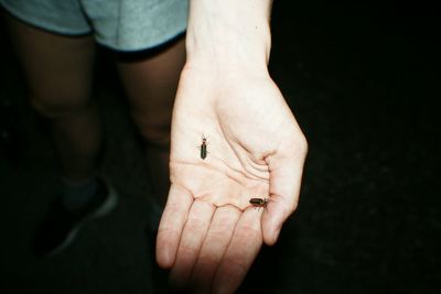 Insects on human hand