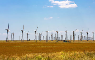 Panorama wind farm in russia on the field in summer