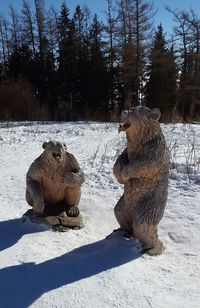View of animal on snow covered land