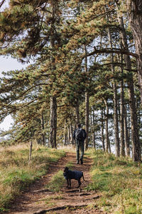 Man with dog standing in forest