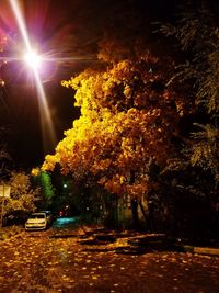 Illuminated street amidst trees against sky at night