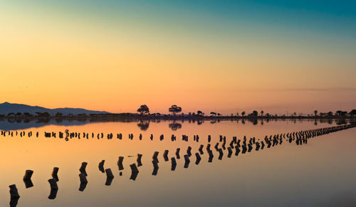 View of wooden poles in calm sea