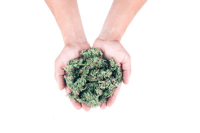 Close-up of hand holding strawberry over white background