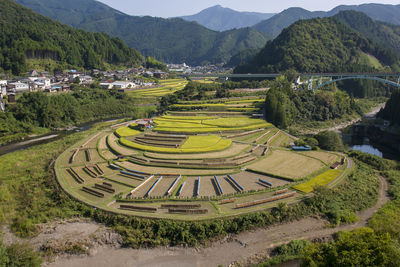 Scenic view of agricultural field