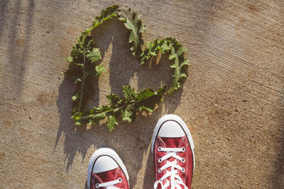 Close-up of shoe by heart shape leaf