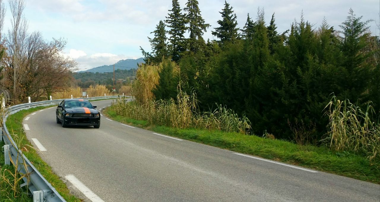 transportation, road, car, land vehicle, tree, mode of transport, the way forward, sky, street, road marking, diminishing perspective, on the move, country road, growth, outdoors, day, cloud - sky, nature, vanishing point, travel