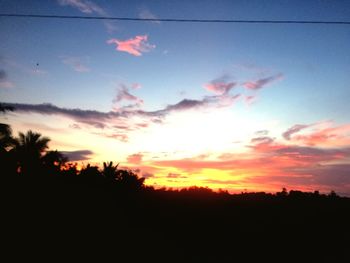 Silhouette of trees at sunset