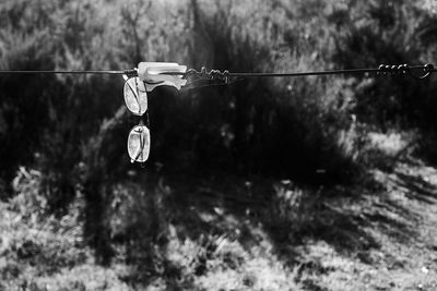 Abandoned eyeglasses hanging on metal wire against trees