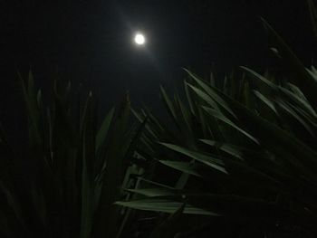 Scenic view of moon at night