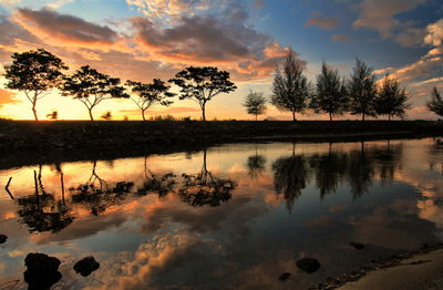 Silhouette trees against cloudy sky reflecting in river during sunset