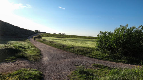 Dirt road along countryside landscape