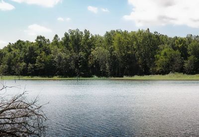 Scenic view of river with trees in background