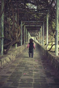 Rear view of woman walking on footpath