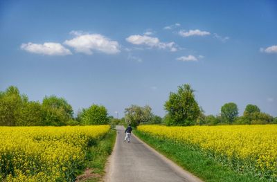 Road passing through field