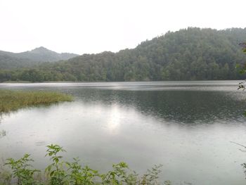 Scenic view of lake by trees against sky