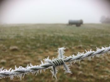 Close-up of snow on field against sky