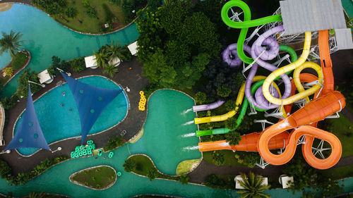 High angle view of multi colored potted plants