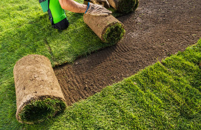 Low section of man standing on grassy field