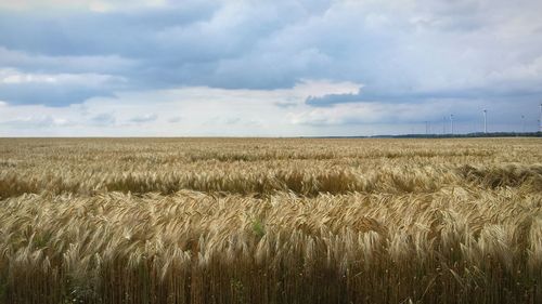 Scenic view of field against cloudy sky