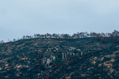 Scenic view of landscape against clear sky