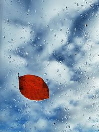 Close-up of wet glass window against sky