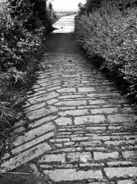 Footpath leading towards steps