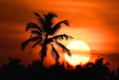 Silhouette palm tree against romantic sky at sunset