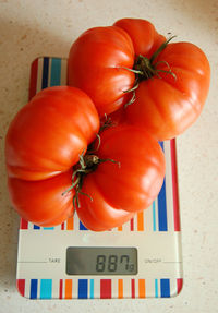 High angle view of tomatoes in container