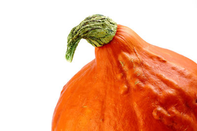Close-up of pumpkin against white background