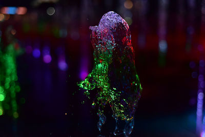 Close-up of water drop on display at night