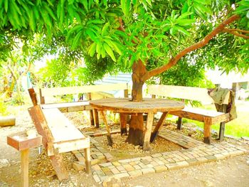 Empty bench in park