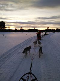 Snow on field against sky during sunset