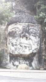 Close-up of statue in water