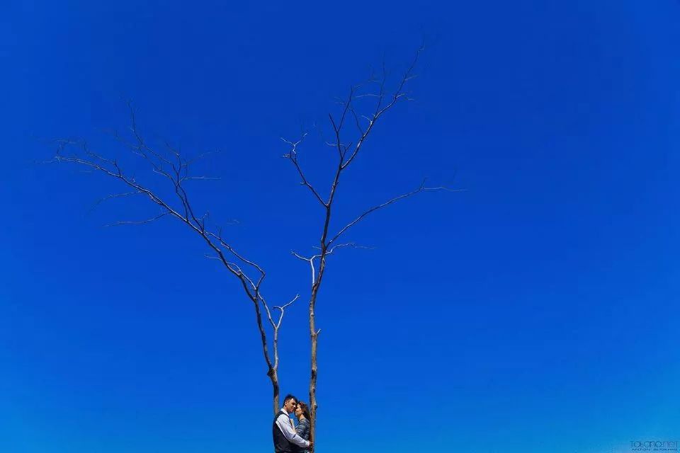 blue, clear sky, copy space, low angle view, bare tree, one person, art and craft, human representation, art, outdoors, nature, creativity, dead plant, part of, day, animal themes, sculpture, branch, sky