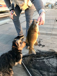 Full length of man holding dog