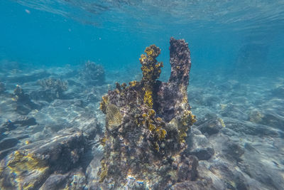 Diving in curacao