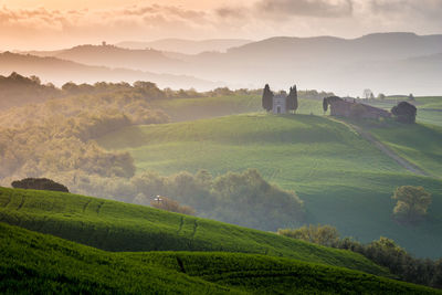 Scenic view of agricultural field against sky