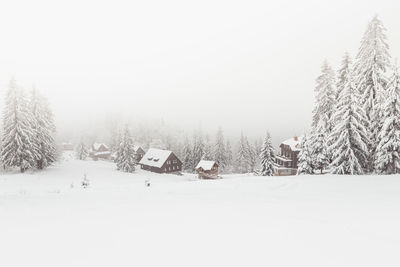 Snow covered landscape