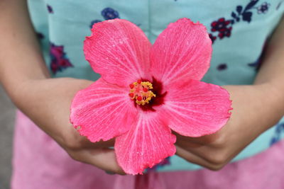 Midsection of woman hand holding pink flower