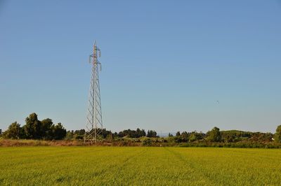 Scenic view of agricultural field against clear sky