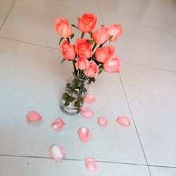 Pink flowers in vase