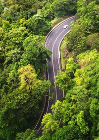 High angle view of road amidst trees