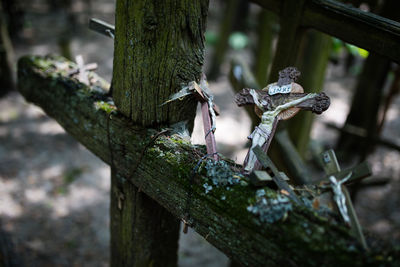 High angle view of crucifix on wooden cross at cemetery