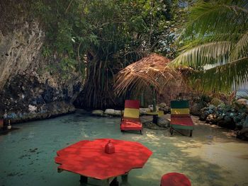 Red chairs and table by palm trees