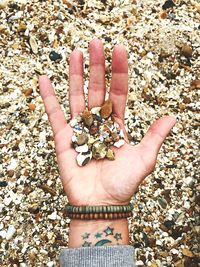 Directly above shot of person holding pebbles