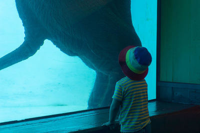 Rear view of boy standing in water